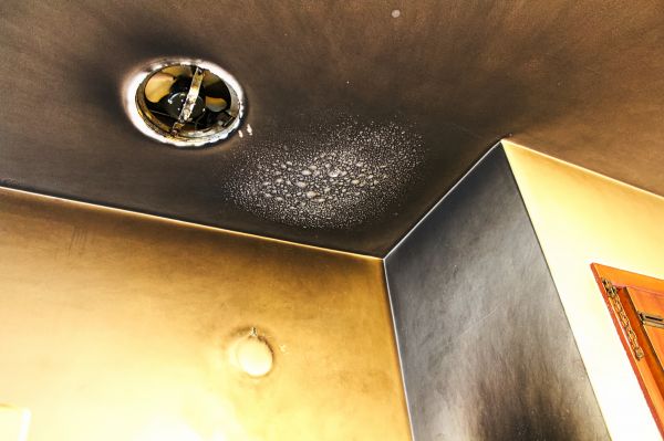 Smoke Remediation Service in San Marcos